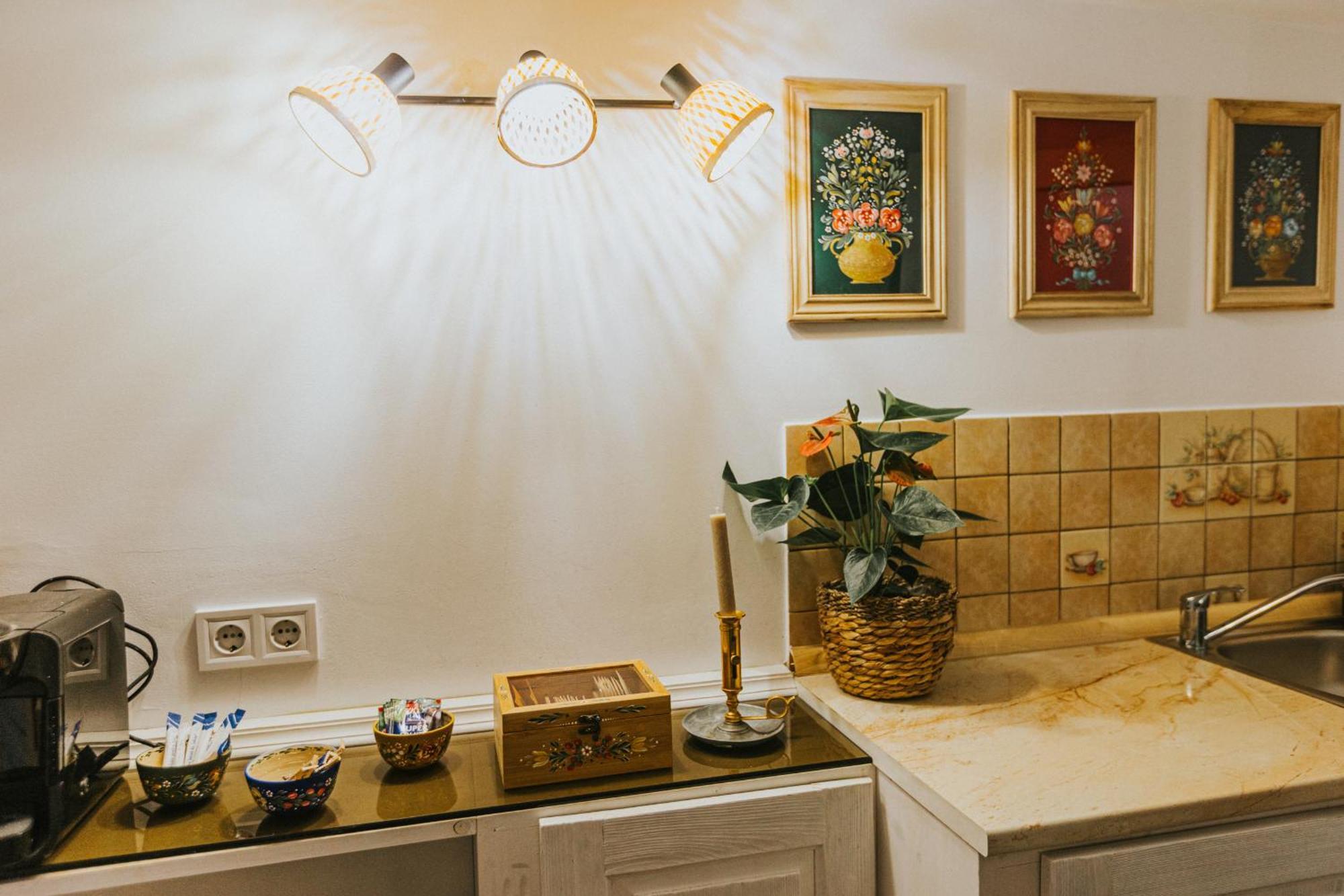 Republicii Rustic Apartament In Brasov City Center Екстер'єр фото