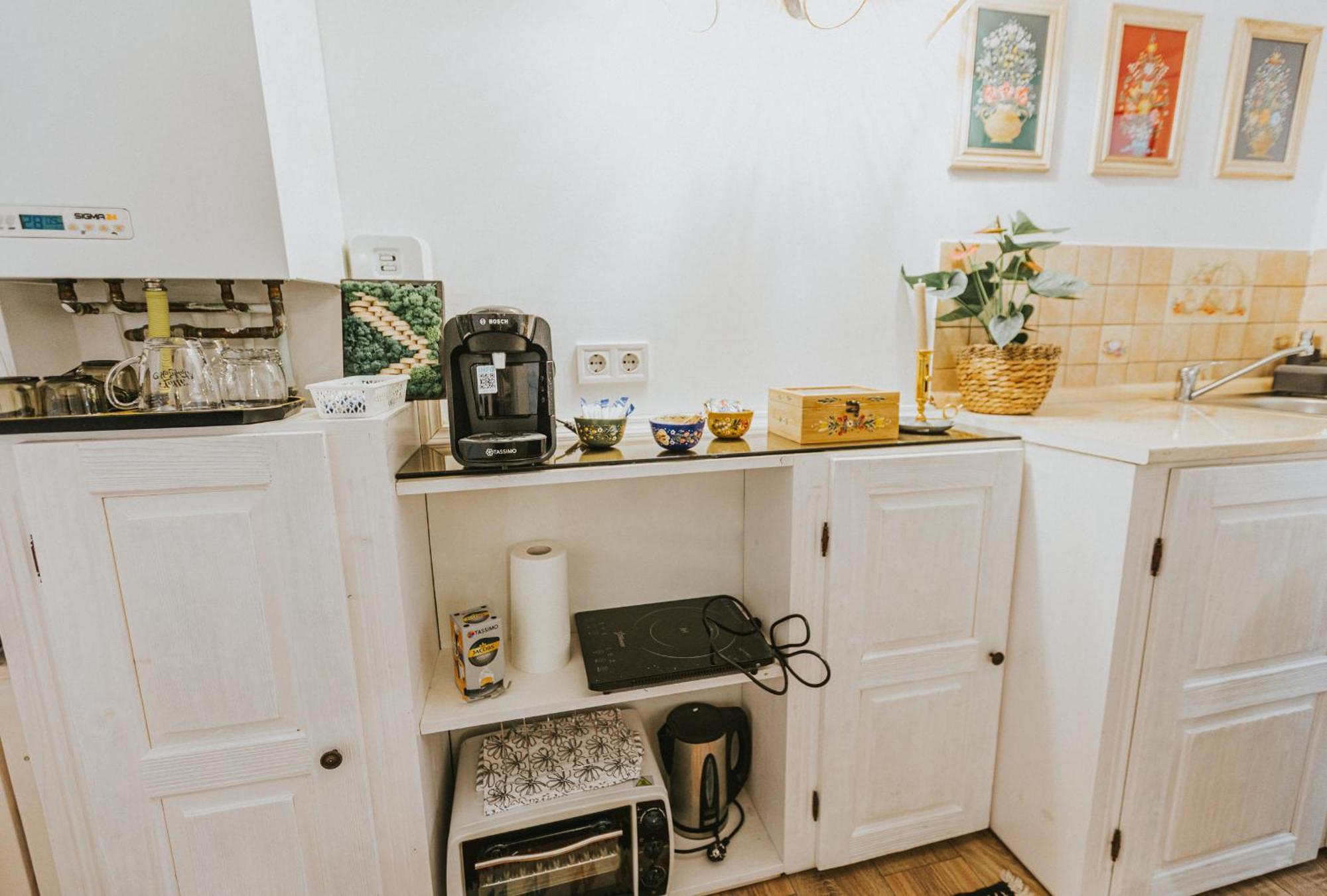 Republicii Rustic Apartament In Brasov City Center Екстер'єр фото