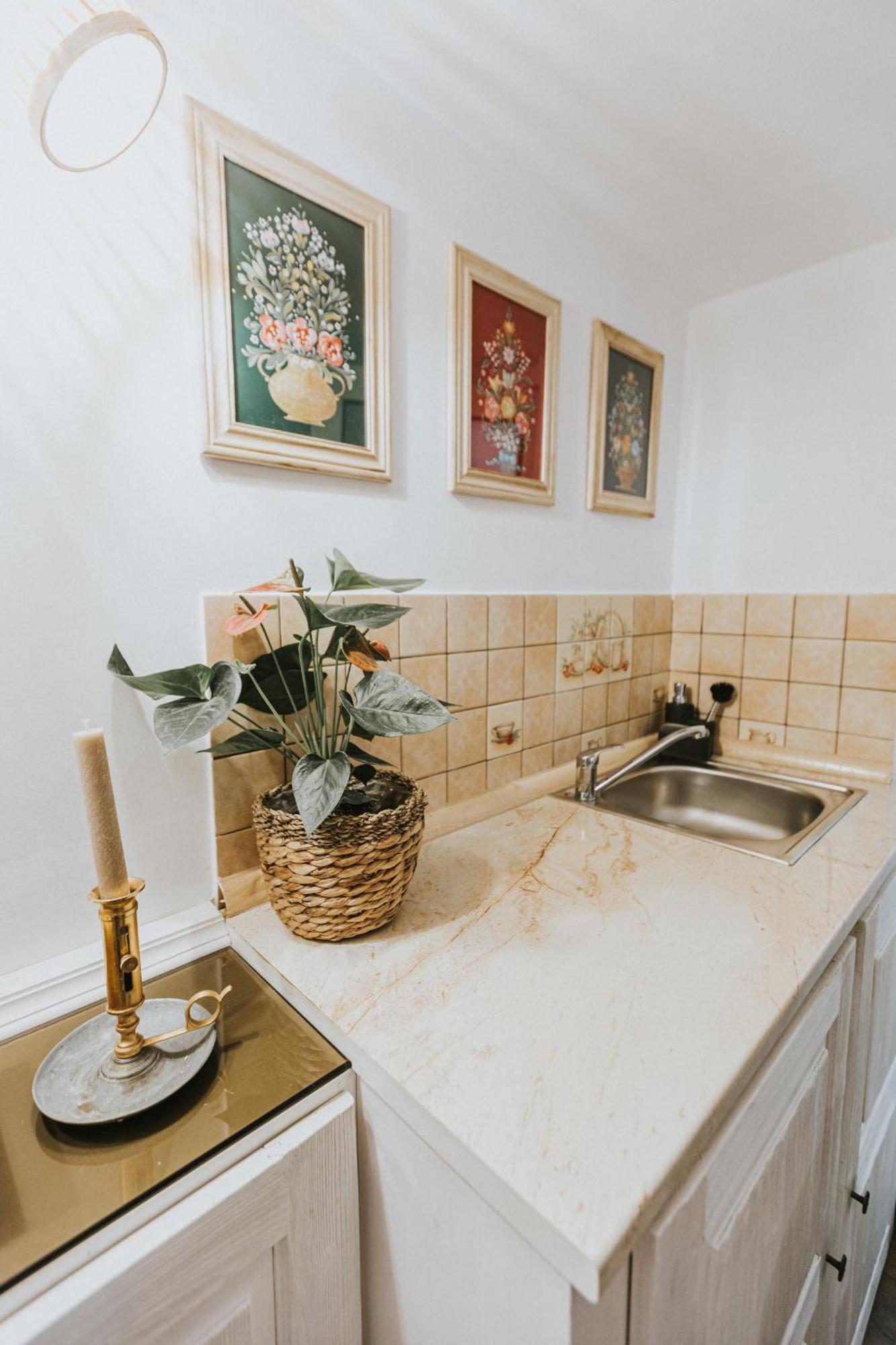 Republicii Rustic Apartament In Brasov City Center Екстер'єр фото