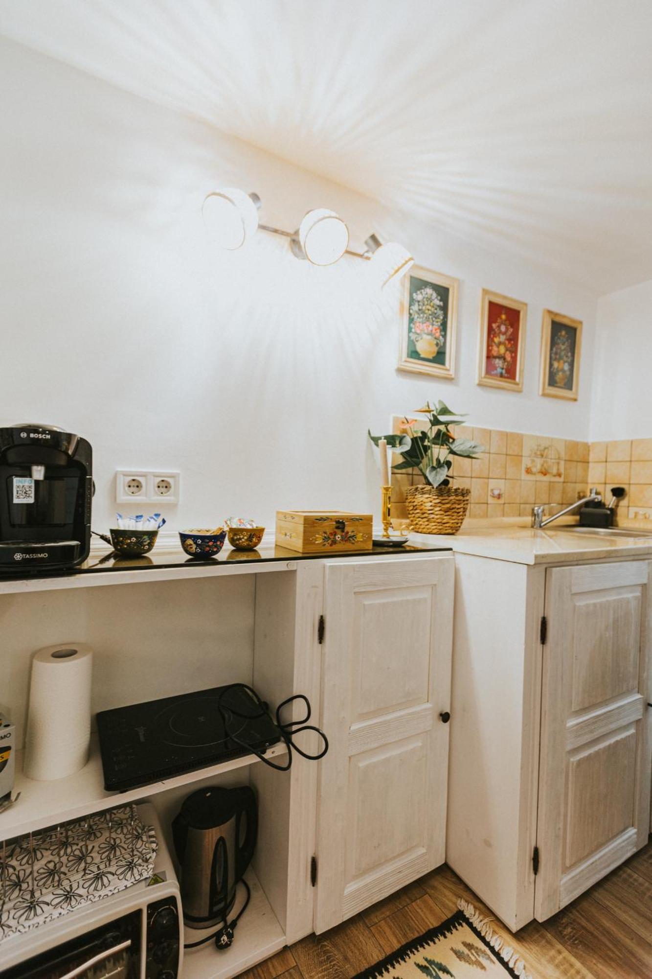 Republicii Rustic Apartament In Brasov City Center Екстер'єр фото