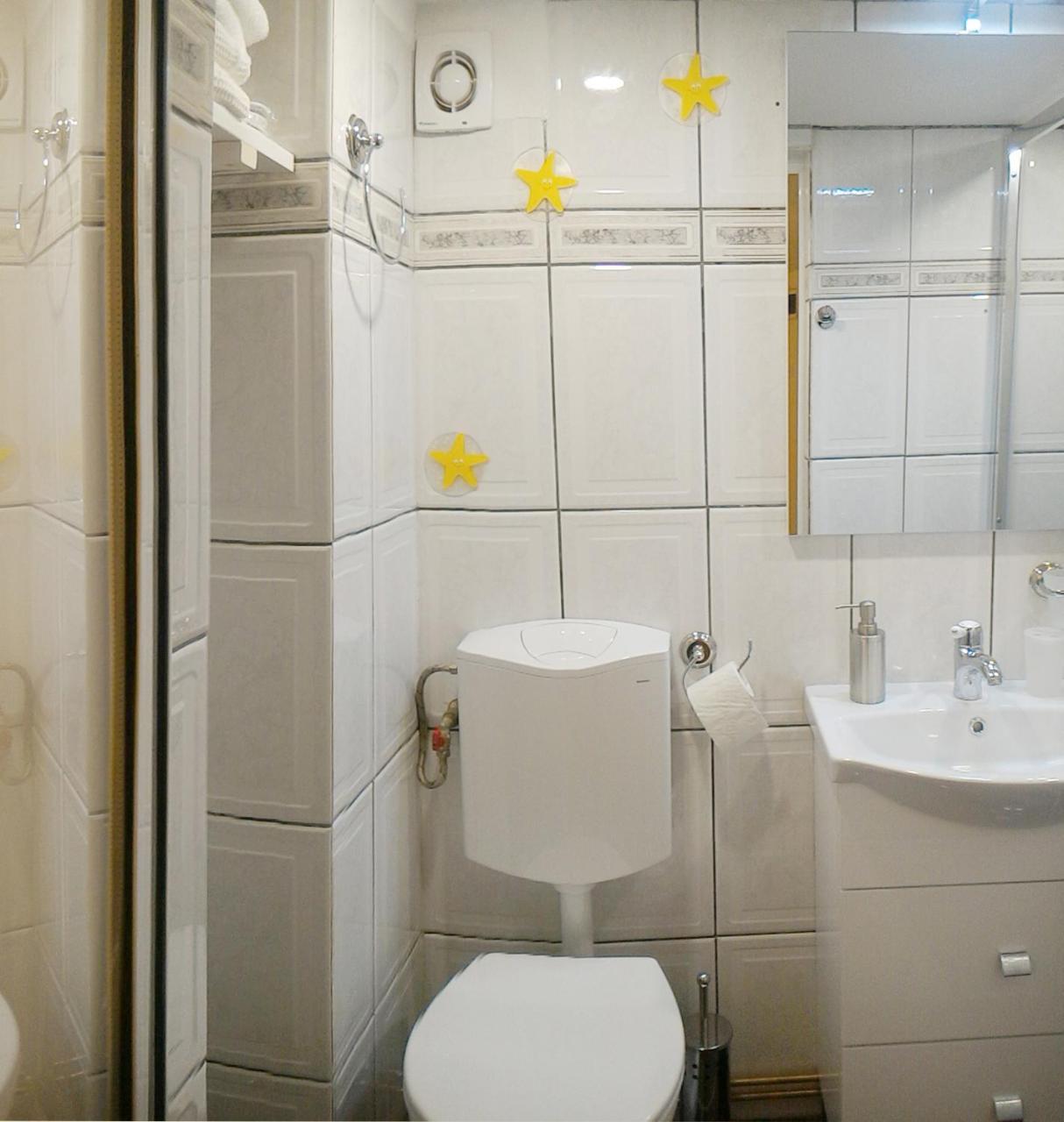 Republicii Rustic Apartament In Brasov City Center Екстер'єр фото